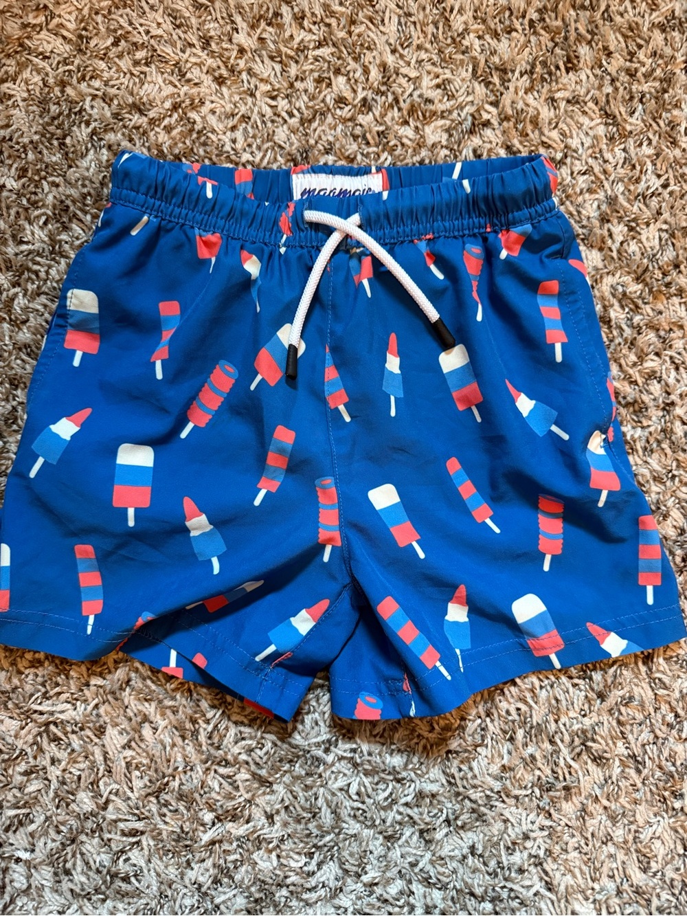 Boys’ popsicle motif swim trunks size 5/6